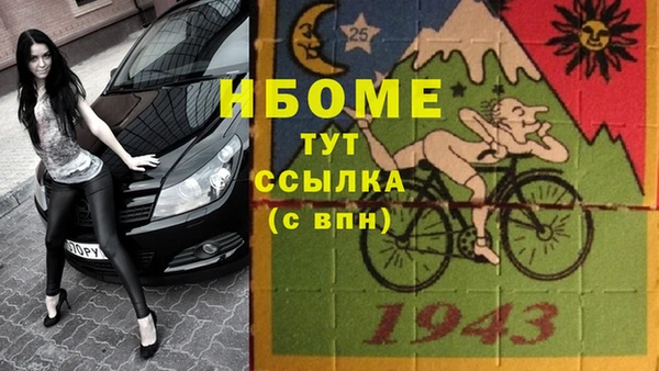 стаф Абинск
