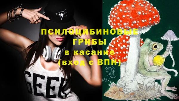 spice Алексин