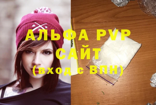 стаф Абинск
