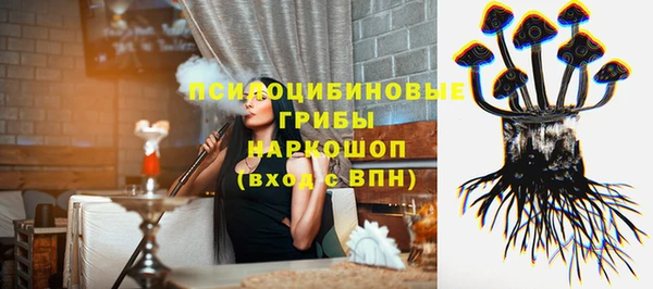 стаф Абинск