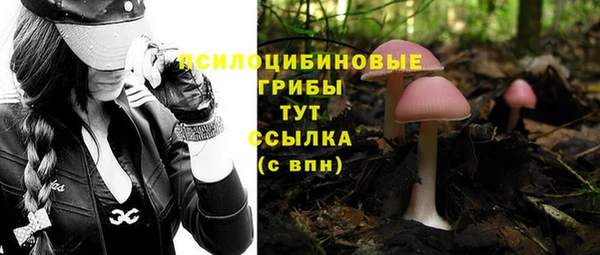 гидропоника Абдулино