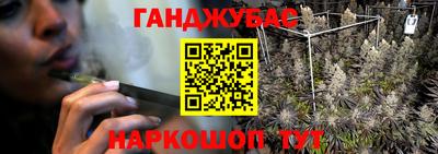 гашик Новокубанск