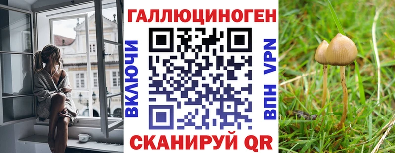 нарко площадка формула  Сухой Лог  Псилоцибиновые грибы MAGIC MUSHROOMS 