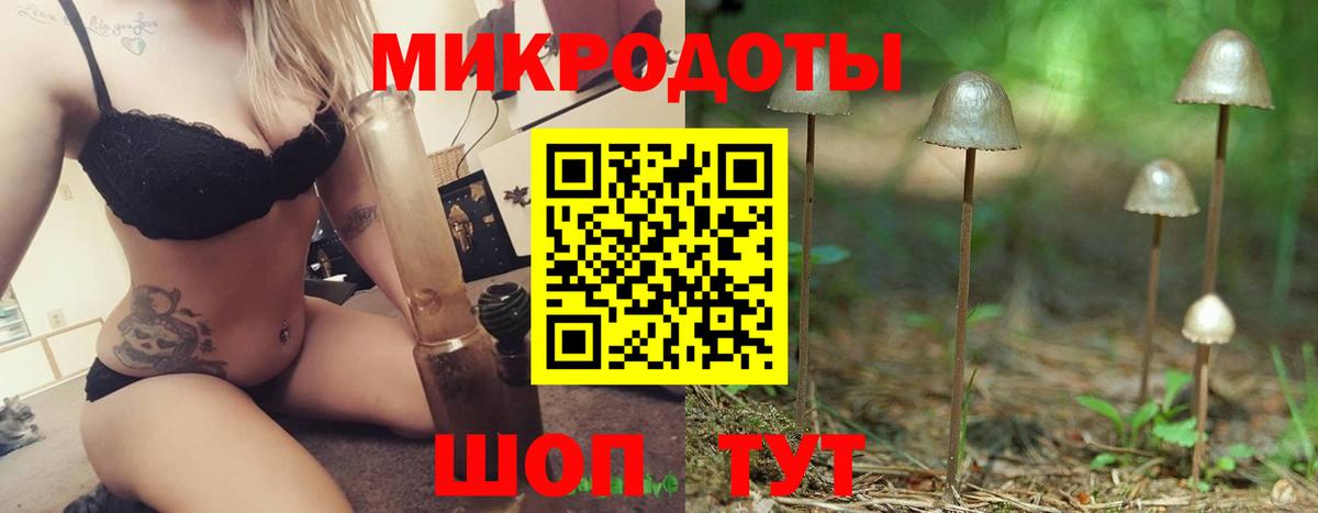 Сухой Лог  Галлюциногенные грибы MAGIC MUSHROOMS  Вход с VPN  магазин продажи наркотиков  Псилоцибиновые грибы GOLDEN TEACHER 